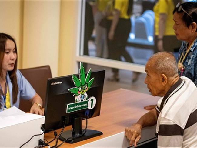 Negocios de marihuana en Tailandia a un año de su legalización
