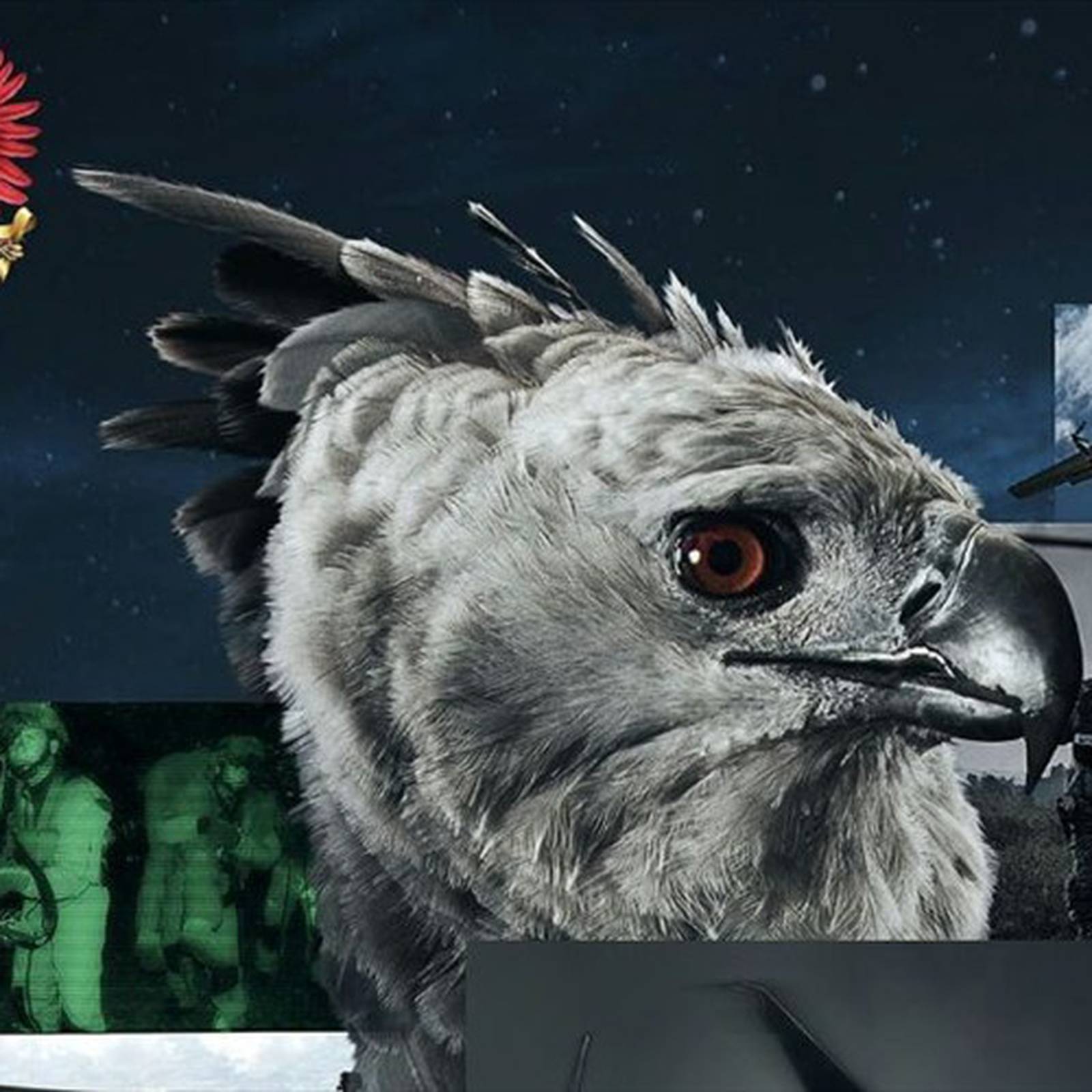 El Águila Arpía colombiana, nueva imagen de la Fuerza Aérea