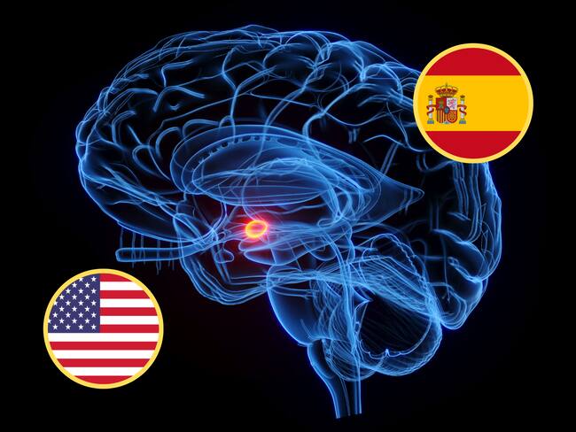 Ilustración de un cerebro con las banderas de Estados Unidos y España para hacer referencia al bilingüismo (GettyImages)