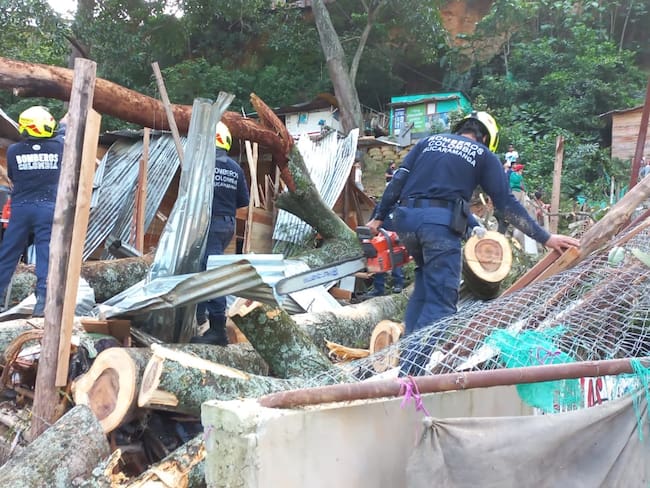 Luto en Bucaramanga: Dos migrantes venezolanos murieron por caída de árbol. Cortesía Cuerpo de Bomberos.