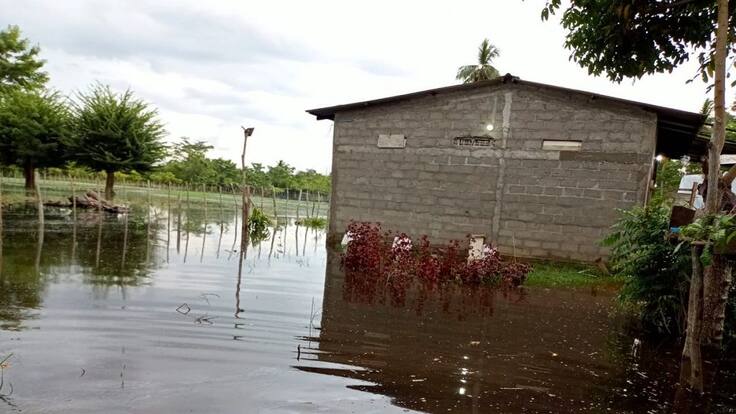 Más de 300 hectáreas de cultivos quedaron bajo el agua tras desbordamiento de canal en Cotorra, Córdoba. Foto: cortesía. 