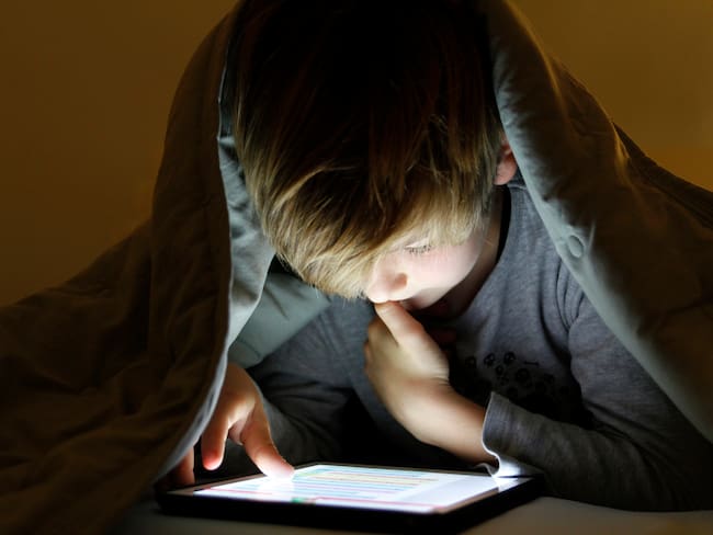 ¿Cuánto tiempo deberían estar los niños en el celular o computador?, experta responde