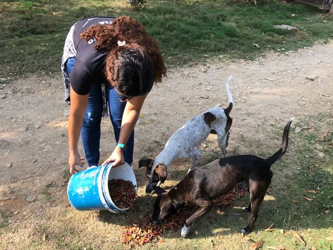 Soluciones W: Gesto Agro dona 1500 kilos de alimento para perros en Coveñas