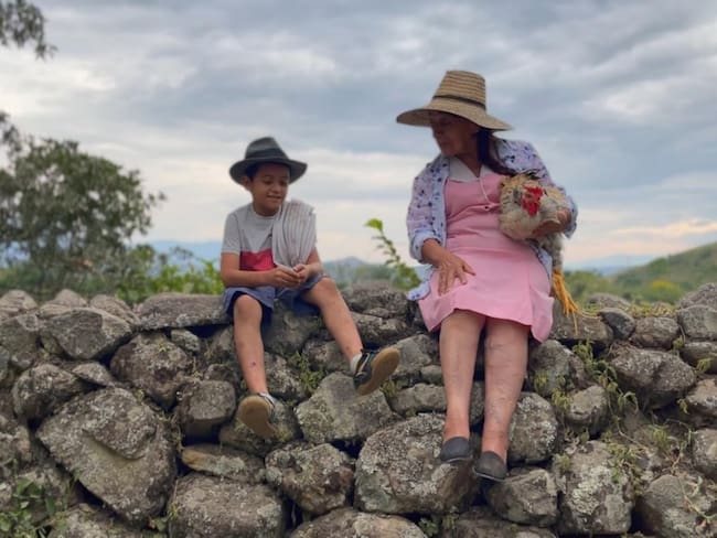 La Guerra de las Gallinas: serie que narra la otra cara del conflicto armado en Colombia