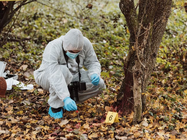 Persona investigando el área de un crimen (Getty Images)