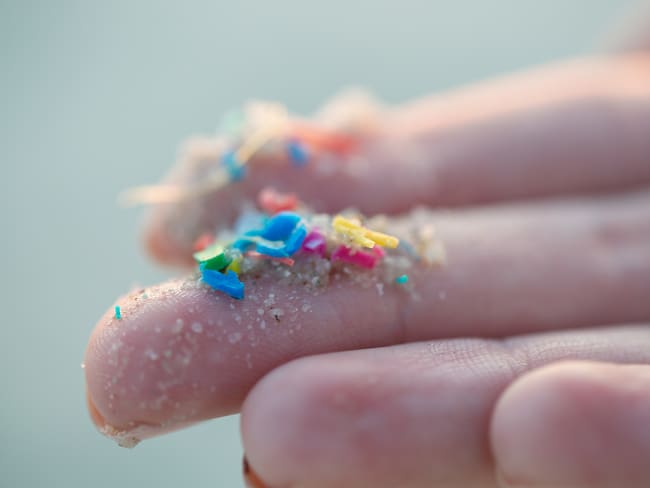 Microplásticos en el pene: ¿cuáles son sus causas y qué efectos tienen sobre la salud?